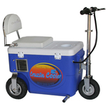 Cruzin Cooler 300 Watt Electric  